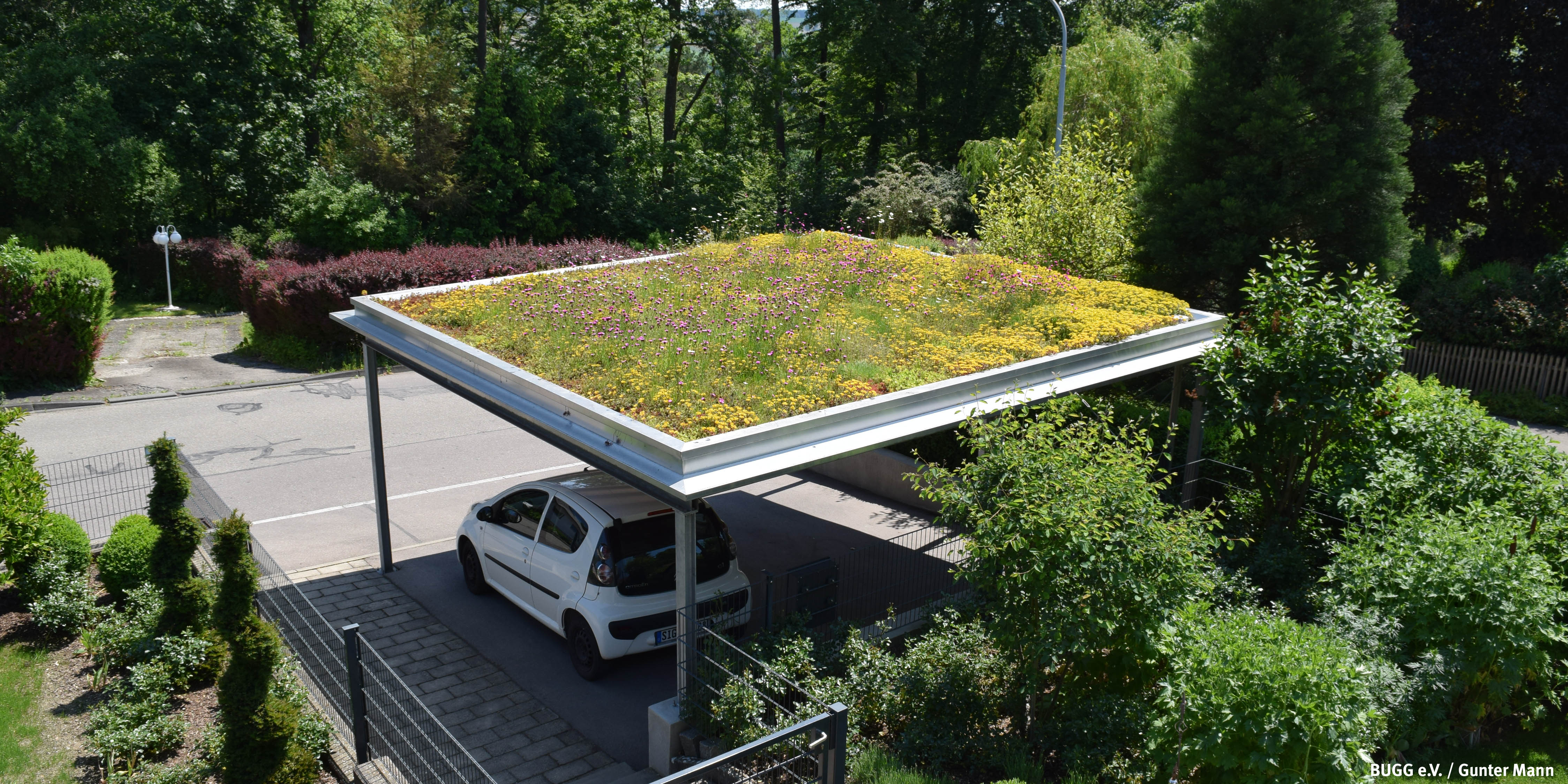 Gründach auf Garage oder Carport Am besten jetzt Verbraucherzentrale NRW